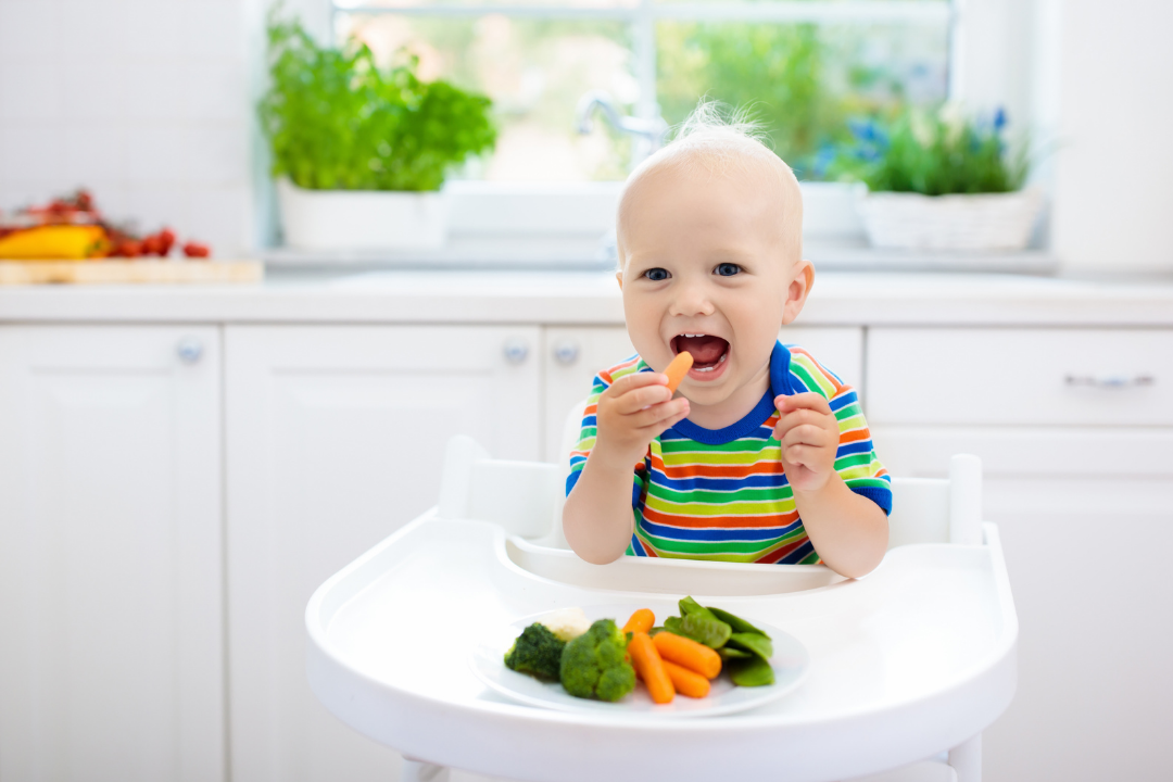 Finger Foods for Baby Self-feeding